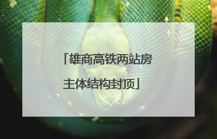 雄商高铁两站房主体结构封顶