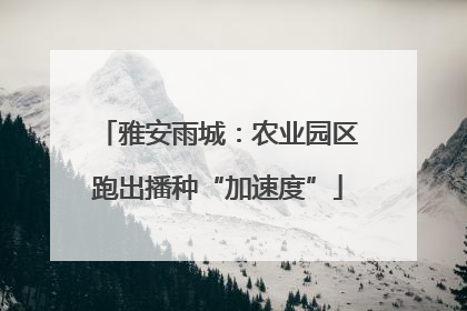 雅安雨城：农业园区跑出播种“加速度”
