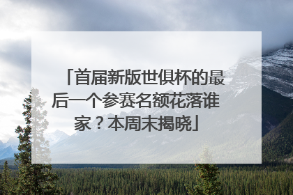 首届新版世俱杯的最后一个参赛名额花落谁家？本周末揭晓