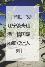首艘“浙江宁波舟山港”籍国际船舶登记入列