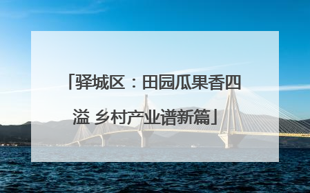 驿城区：田园瓜果香四溢 乡村产业谱新篇