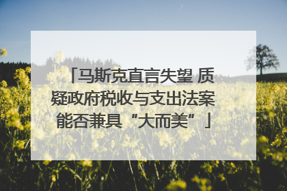 马斯克直言失望 质疑政府税收与支出法案能否兼具“大而美”