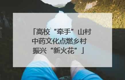 高校“牵手”山村 中药文化点燃乡村振兴“新火花”