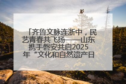 齐鲁文脉连浙中,民艺青春共飞扬——山东携手磐安共启2025年“文化和自然遗产日”系列活动