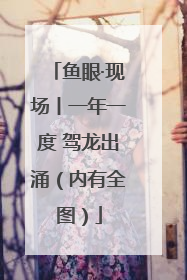 鱼眼·现场丨一年一度 驾龙出涌（内有全图）