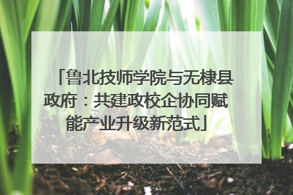 鲁北技师学院与无棣县政府：共建政校企协同赋能产业升级新范式