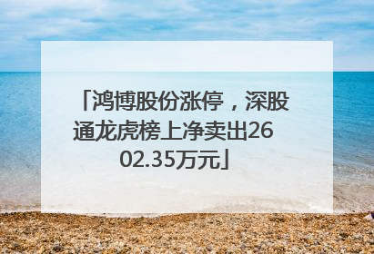 鸿博股份涨停，深股通龙虎榜上净卖出2602.35万元