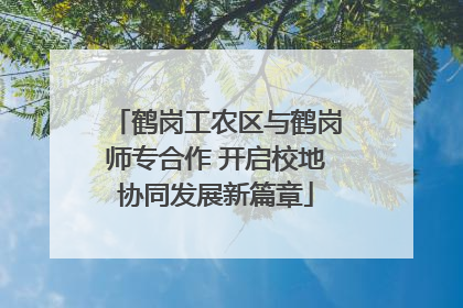 鹤岗工农区与鹤岗师专合作 开启校地协同发展新篇章