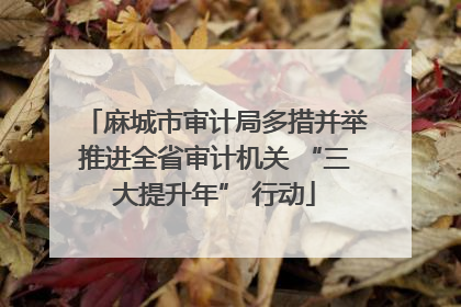 麻城市审计局多措并举推进全省审计机关 “三大提升年” 行动