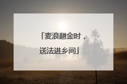 麦浪翻金时，送法进乡间
