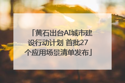 黄石出台AI城市建设行动计划 首批27个应用场景清单发布