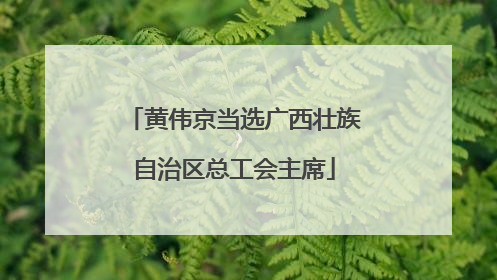 黄伟京当选广西壮族自治区总工会主席