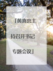 黄喜忠主持召开书记专题会议