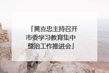 黄喜忠主持召开市委学习教育集中整治工作推进会