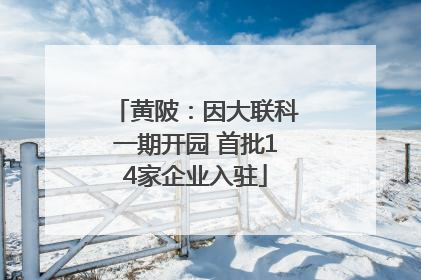 黄陂：因大联科一期开园 首批14家企业入驻