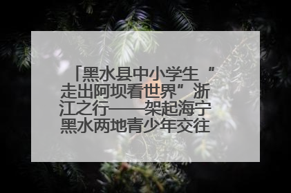 黑水县中小学生“走出阿坝看世界”浙江之行——架起海宁黑水两地青少年交往交流交融新桥梁