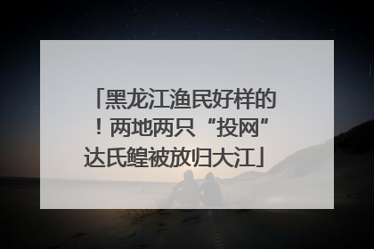 黑龙江渔民好样的!两地两只“投网”达氏鳇被放归大江