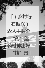 （乡村行·看振兴）农人手握金“药”匙 药材种出好“钱”景