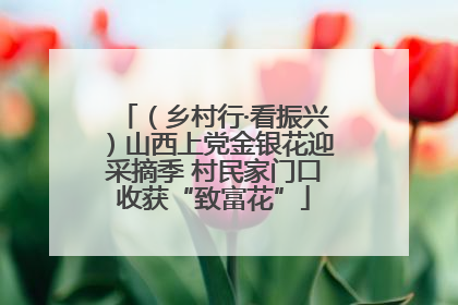 （乡村行·看振兴）山西上党金银花迎采摘季 村民家门口收获“致富花”