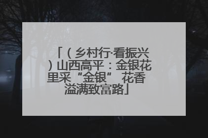 （乡村行·看振兴）山西高平：金银花里采“金银” 花香溢满致富路