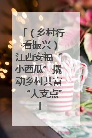 （乡村行·看振兴）江西安福“小西瓜”撬动乡村共富“大支点”
