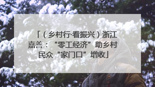 （乡村行·看振兴）浙江嘉善：“零工经济”助乡村民众“家门口”增收