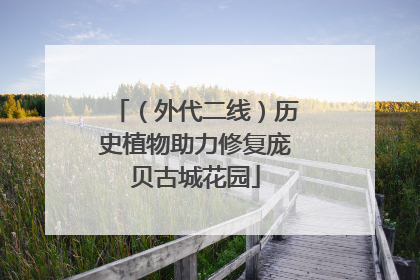 （外代二线）历史植物助力修复庞贝古城花园