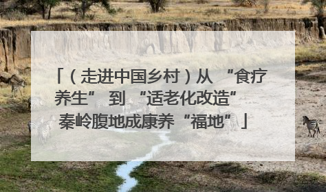 （走进中国乡村）从 “食疗养生” 到 “适老化改造” 秦岭腹地成康养“福地”