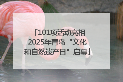 101项活动亮相 2025年青岛“文化和自然遗产日”启幕