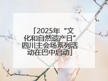 2025年“文化和自然遗产日”四川主会场系列活动在巴中启动