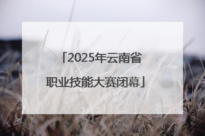 2025年云南省职业技能大赛闭幕