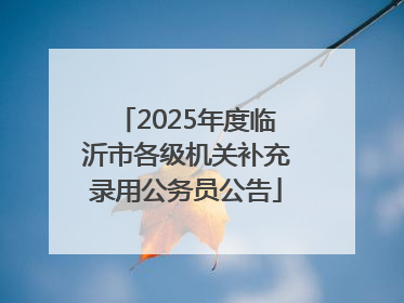 2025年度临沂市各级机关补充录用公务员公告