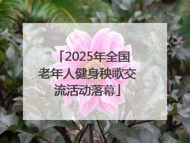 2025年全国老年人健身秧歌交流活动落幕