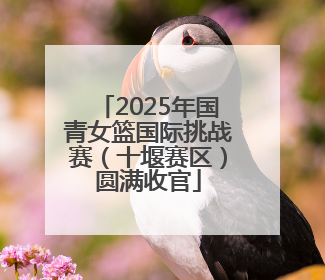 2025年国青女篮国际挑战赛（十堰赛区）圆满收官