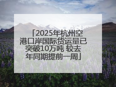 2025年杭州空港口岸国际货运量已突破10万吨 较去年同期提前一周
