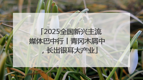 2025全国新兴主流媒体巴中行丨青冈木屑中，长出银耳大产业