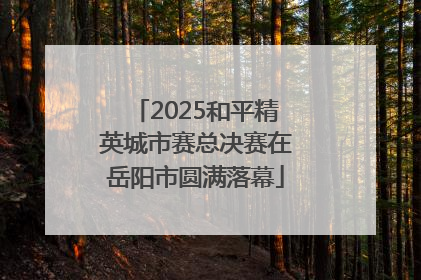 2025和平精英城市赛总决赛在岳阳市圆满落幕