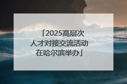 2025高层次人才对接交流活动在哈尔滨举办