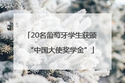 20名葡萄牙学生获颁“中国大使奖学金”