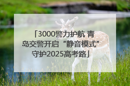 3000警力护航 青岛交警开启“静音模式”守护2025高考路