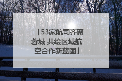 53家航司齐聚蓉城 共绘区域航空合作新蓝图
