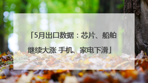 5月出口数据：芯片、船舶继续大涨 手机、家电下滑
