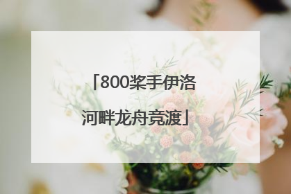 800桨手伊洛河畔龙舟竞渡