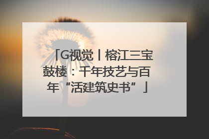 G视觉丨榕江三宝鼓楼：千年技艺与百年“活建筑史书”