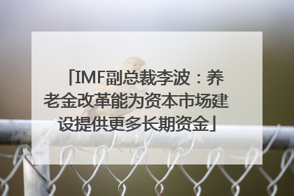 IMF副总裁李波：养老金改革能为资本市场建设提供更多长期资金
